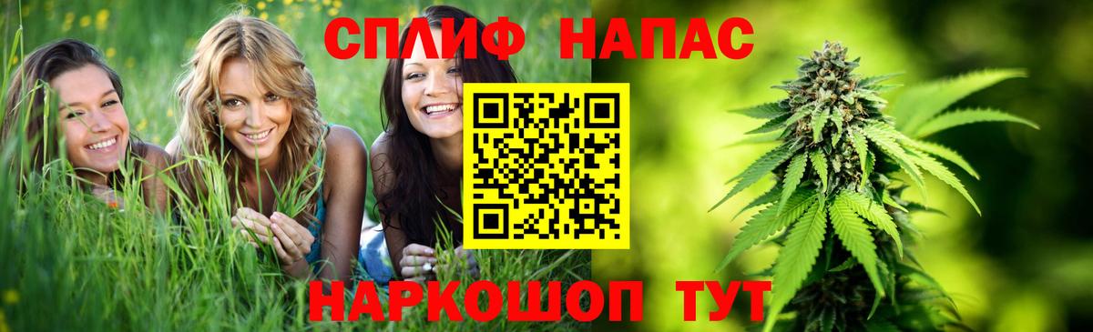 Марихуана марихуана Новошахтинск